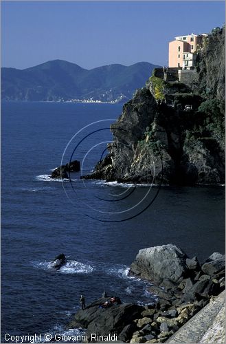 ITALY - LIGURIA - CINQUE TERRE (SP) - MANAROLA