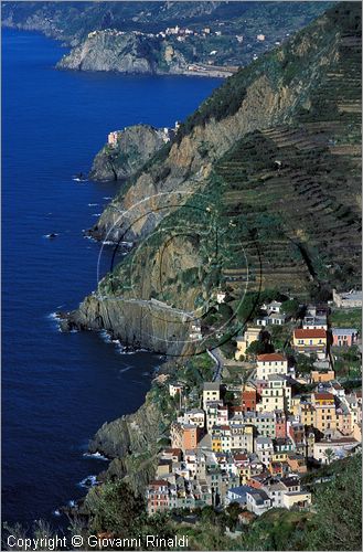 ITALY - LIGURIA - CINQUE TERRE (SP) - RIOMAGGIORE