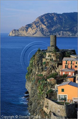 ITALY - LIGURIA - CINQUE TERRE (SP) - VERNAZZA