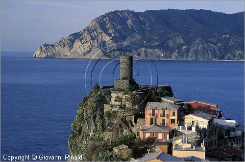 ITALY - LIGURIA - CINQUE TERRE (SP) - VERNAZZA