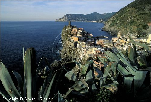 ITALY - LIGURIA - CINQUE TERRE (SP) - VERNAZZA