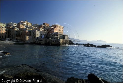 ITALY - LIGURIA - GENOVA - il Porticciolo di Boccadasse