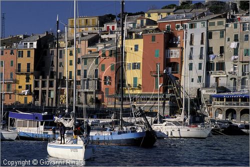 ITALY - LIGURIA - PORTOVENERE (SP) - veduta panoramica della palazzata policroma della Calata Doria