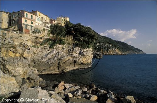 ITALY - LIGURIA - TELLARO (SP) - veduta panoramica della costa verso Capo Corvo