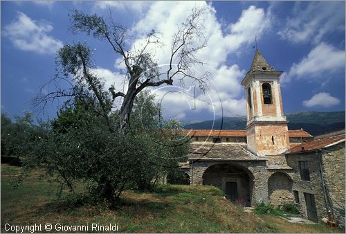 ITALY - LIGURIA - BORGOMARO (IM) - la chiesetta di San Lazariu (Nazario e Celso) tra gli ulivi