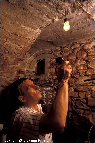 ITALY - LIGURIA - DOLCEACQUA (IM) - la cantina di un produttore del Rossese tipico vino della zona