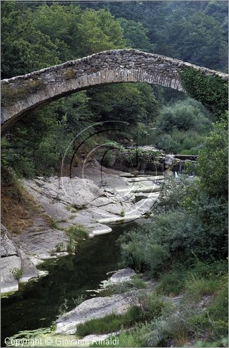 ITALY - LIGURIA - MOLINI DI TRIORA (IM) - ponte romano sul torrente Argentina