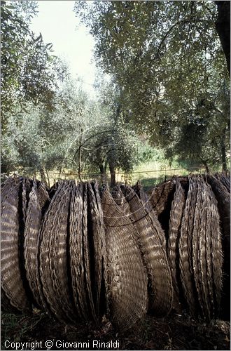 ITALY - LIGURIA - PRELA' (IM) - dischi per la premitura dell'olio