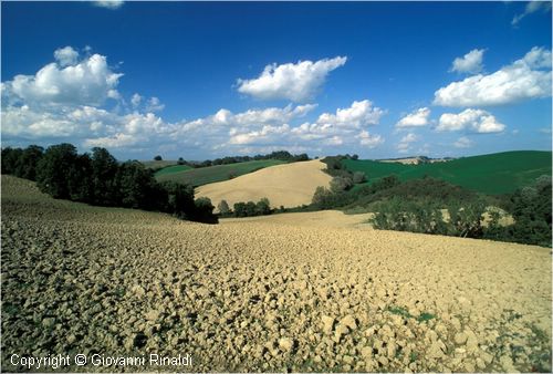 paesaggio0040.jpg