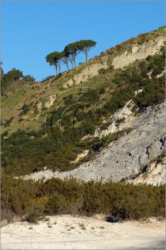 ITALY - POZZUOLI (NA) - La Solfatara - il vulcano Solfatara dal cratere ellittico (770 per 580 metri) risale a 4000 anni fa ed  l'unico dei Campi Flegrei ancora attivo con impressionanti manifestazioni fumaroliche