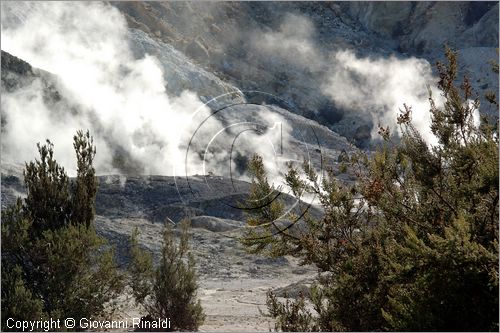 ITALY - POZZUOLI (NA) - La Solfatara - il vulcano Solfatara dal cratere ellittico (770 per 580 metri) risale a 4000 anni fa ed  l'unico dei Campi Flegrei ancora attivo con impressionanti manifestazioni fumaroliche