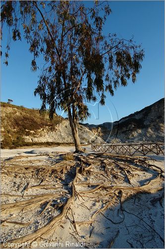 ITALY - POZZUOLI (NA) - La Solfatara - il vulcano Solfatara dal cratere ellittico (770 per 580 metri) risale a 4000 anni fa ed  l'unico dei Campi Flegrei ancora attivo con impressionanti manifestazioni fumaroliche