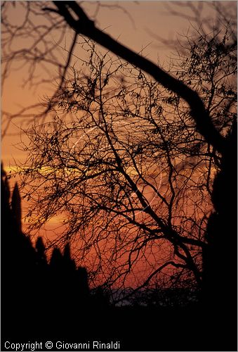 ITALY - TUSCANY - TOSCANA - (Bolgheri) (LI) - tramonto