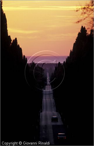 ITALY - TUSCANY - TOSCANA - BOLGHERI (LI) - viale di cipressi al tramonto