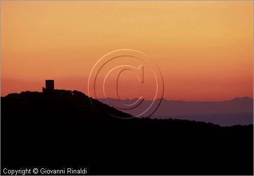 ITALY - TUSCANY - TOSCANA - (Castagneto Carducci) (LI) - tramonto