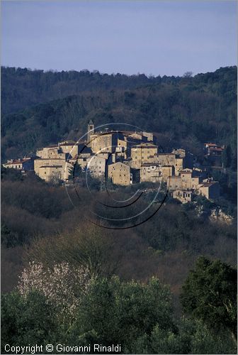 ITALY - TUSCANY - TOSCANA - SASSETTA (LI) - veduta del borgo