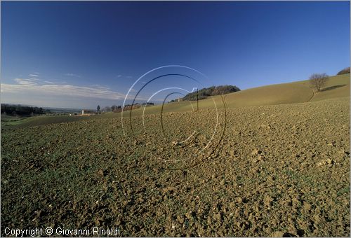 ITALY - TUSCANY - TOSCANA - Guardistallo (PI) - paesaggio nella campagna circostante