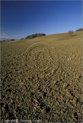 ITALY - TUSCANY - TOSCANA - Guardistallo (PI) - paesaggio nella campagna circostante