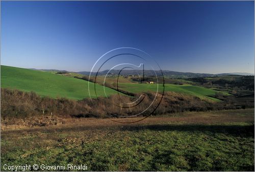 ITALY - TUSCANY - TOSCANA - Guardistallo (PI) - paesaggio nella campagna circostante