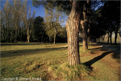 ITALY - TUSCANY - TOSCANA - (Pisa) (PI) - TENUTA DI SAN ROSSORE - Parco Migliarino San Rossore Massaciucoli