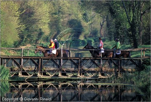 ITALY - TUSCANY - TOSCANA - (Pisa) (PI) - TENUTA DI SAN ROSSORE - Parco Migliarino San Rossore Massaciucoli - zone umide dette "lame"