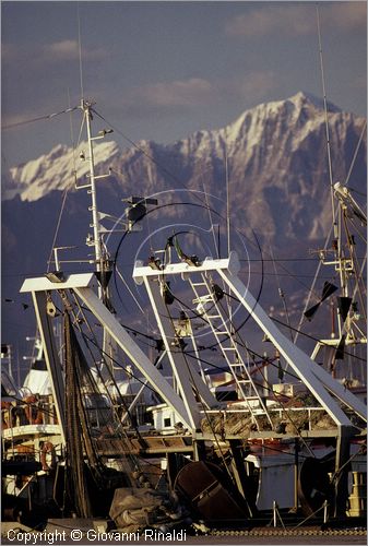 ITALY - TUSCANY - TOSCANA - VIAREGGIO (LU) - veduta del porto peschereccio con lo sfondo delle Alpi Apuane