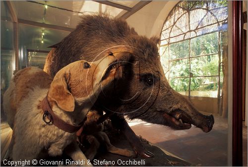 ITALY - CALCI (PI) - Museo di Storia Naturale e del Territorio nella Certosa di Calci - Galleria storica