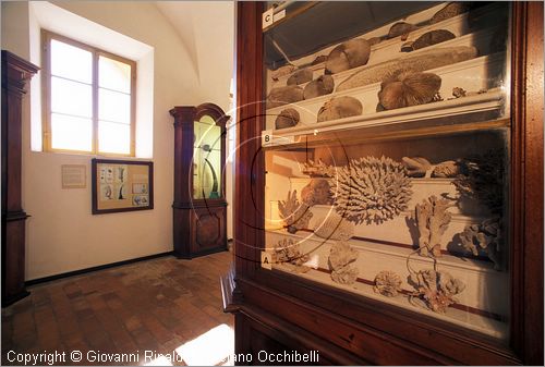 ITALY - CALCI (PI) - Museo di Storia Naturale e del Territorio nella Certosa di Calci - Galleria storica