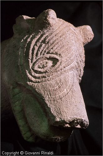 ITALY - ISCHIA DI CASTRO (VT) - Museo Comunale Pietro e Turiddo Lotti - modiglione zoopomorfo proveniente dalla chiesa di San Savino di Castro (XIII secolo)