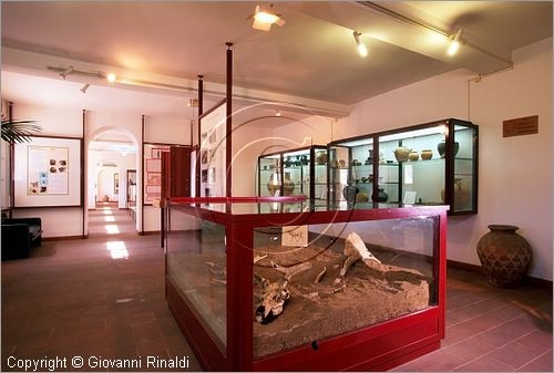 ITALY - ISCHIA DI CASTRO (VT) - Museo Comunale Pietro e Turiddo Lotti - veduta di una sala del museo