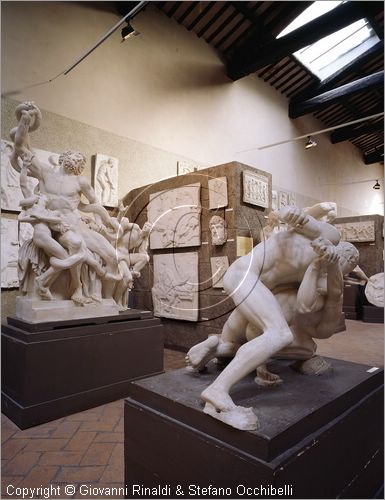 ITALY - PERUGIA - Museo dell'Accademia - Gipsoteca - copia in gesso da originale di lottatori (III secolo a.C.) - dietro Laocoonte da originale greco in marmo di Agesandro, Atenodoro e Polidoro