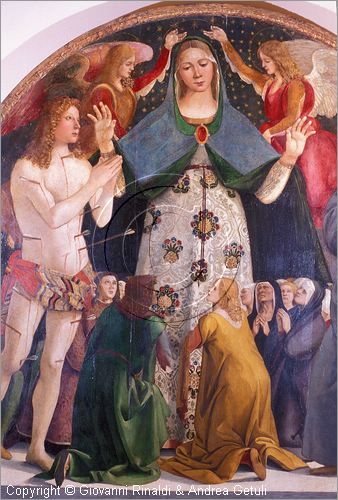 ITALY - PIENZA (SI) - Museo Diocesano d'Arte Sacra - sala 6: Madonna della Misericordia tra San Sebastiano e San Bernardino (tavola di Luca Signorelli , 1490 circa) proveniente dalla chiesa di San Francesco a Pienza