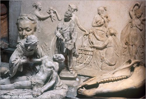 ROMA
Museo Canova-Tadolini
sala interna
bozzetti e cranio di cavallo per studi anatomici