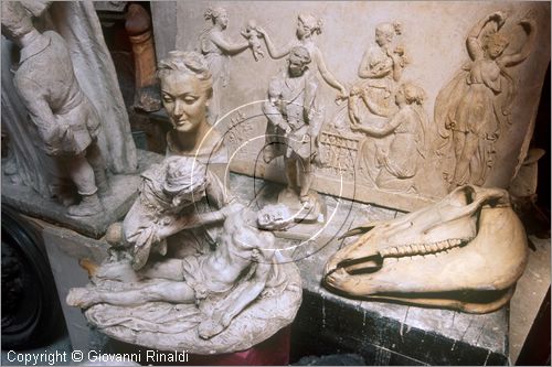 ROMA
Museo Canova-Tadolini
sala interna
bozzetti e cranio di cavallo per studi anatomici