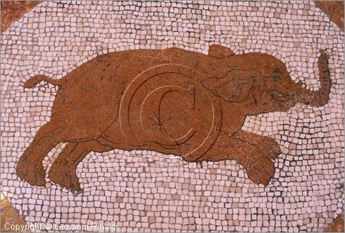 ROMA
Villa Torlonia
Museo del Casino dei Principi
Piano nobile, seconda sala (Galleria)
particolare dei pavimenti in mosaico figura di animale (elefante), realizzati da Carlo Seni su disegno di Carretti (1834 circa)