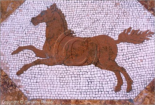 ROMA
Villa Torlonia
Museo del Casino dei Principi
Piano nobile, seconda sala (Galleria)
particolare dei pavimenti in mosaico figura di animale (cavallo), realizzati da Carlo Seni su disegno di Carretti (1834 circa)