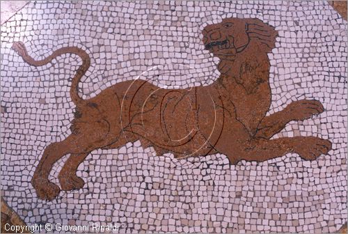 ROMA
Villa Torlonia
Museo del Casino dei Principi
Piano nobile, seconda sala (Galleria)
particolare dei pavimenti in mosaico figura di animale, realizzati da Carlo Seni su disegno di Carretti (1834 circa)