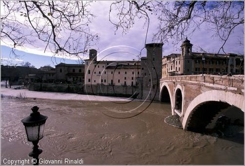 tevere0010.jpg