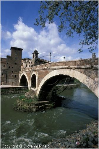 tevere0013.jpg