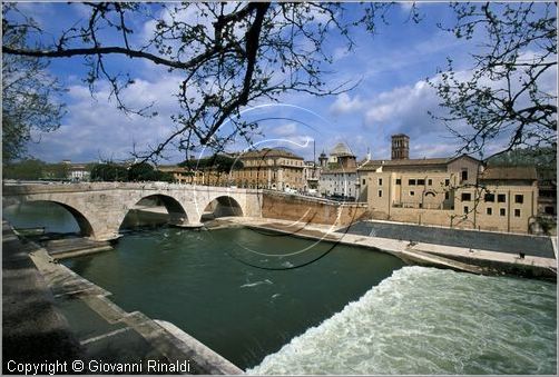 tevere0041.jpg