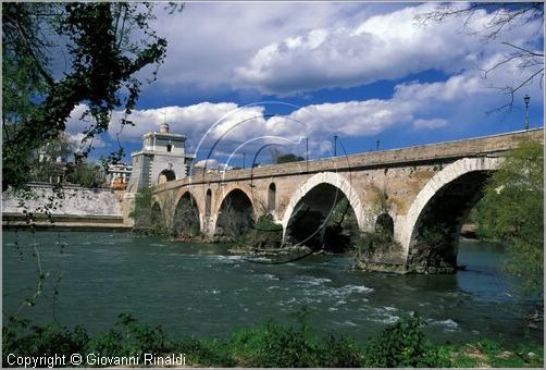 tevere0047.jpg