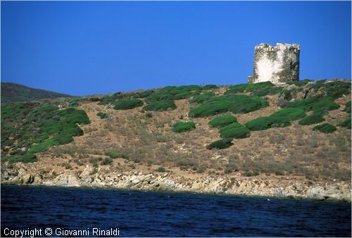 asinara0011.jpg