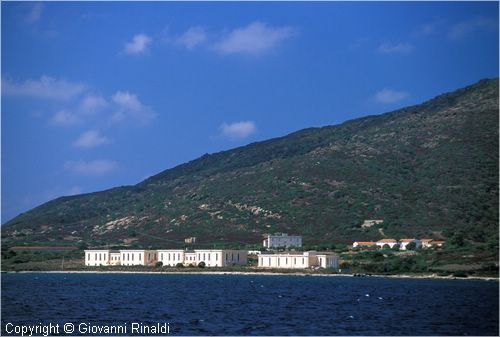 asinara0014.jpg