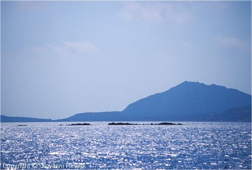 asinara0016.jpg