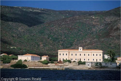 asinara0021.jpg