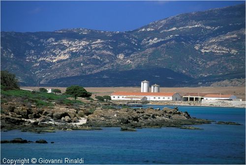 asinara0024.jpg