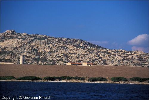 asinara0026.jpg