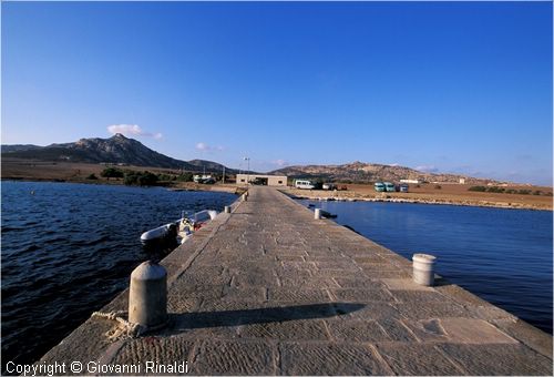 asinara0028.jpg