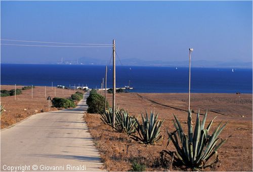 asinara0030.jpg