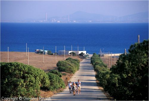 asinara0031.jpg